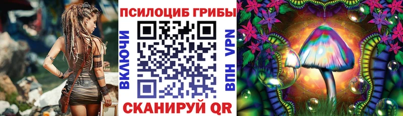 Галлюциногенные грибы мухоморы  купить наркоту  гидра tor  Никольское 